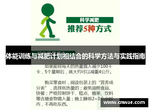 体能训练与减肥计划相结合的科学方法与实践指南
